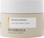 Biodroga Repair & Protect Overnight Repair Cream (50ml) 