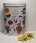 Thank You Tin Flowers - English Fudge 250 ml 